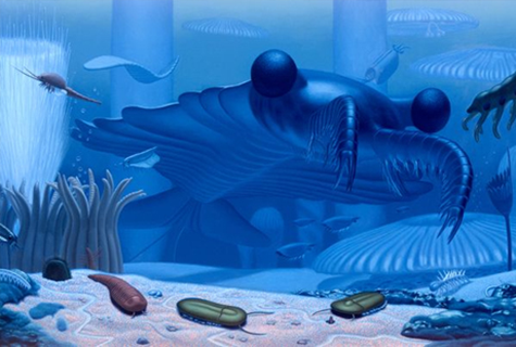 カンブリア紀の海から サイバー モンパルナス カンブリア紀の海から サイバー モンパルナス